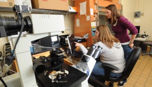 Missouri S&T research center open for business