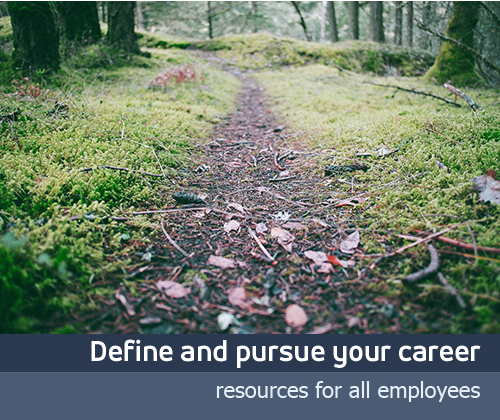 Define and pursue your career path