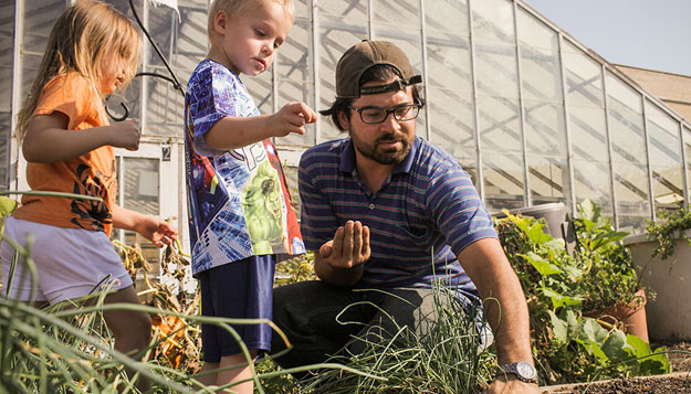 Learning By Growing