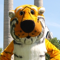 Truman the Tiger Truman the Tiger