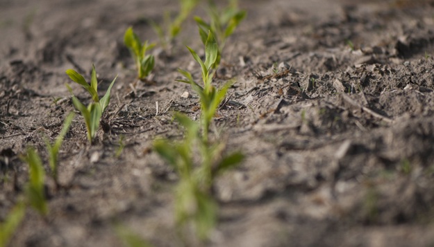 Plant Science Center Helps Missouri Remake Economy