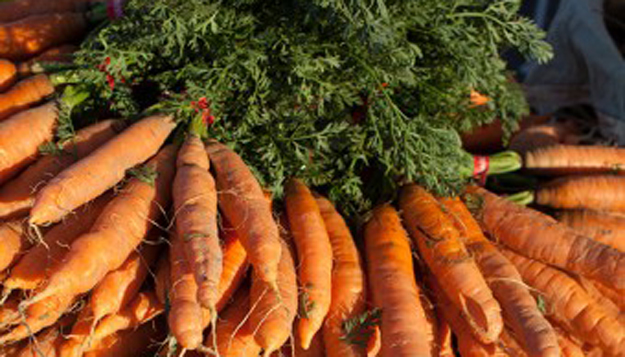 What is Healthy Food?
