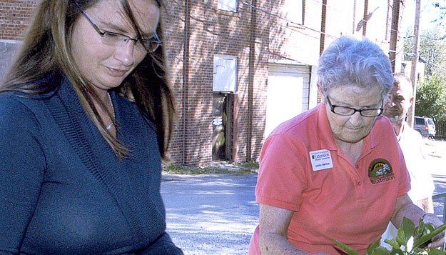 Extension Program Plants Seeds of Hope