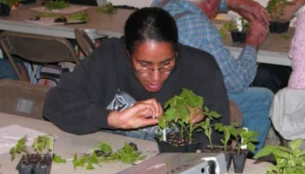 Day in the Life of MU Extension, Henry County