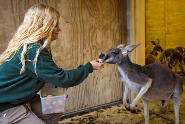 Care of the Wild