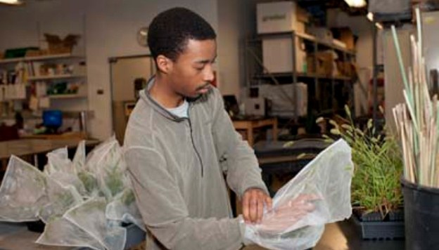 From Dollar Store to Microbiology: UMSL Student Gets His Dream Job