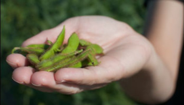 Soy Powder Manufacturer to Bring New Jobs to Mexico, Mo.