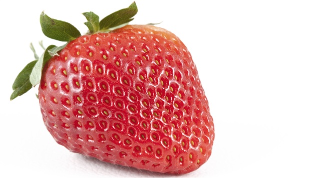 Extension Promotes Strawberry Growers in Jamesport