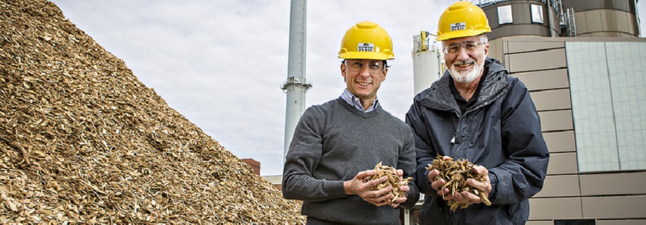 Wood Chips and CAFNR