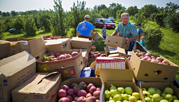 HARC: One Good, Charitable, Apple