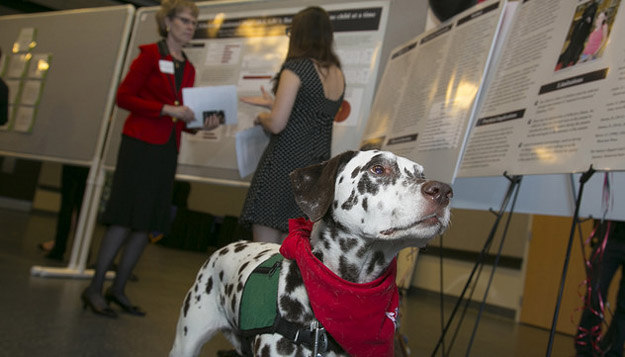 SEARCH for Research