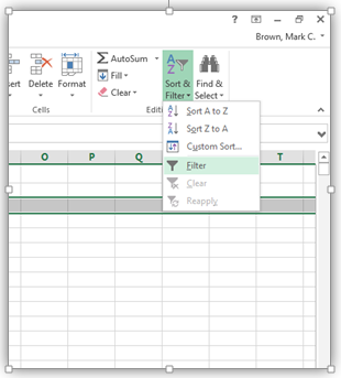 excel