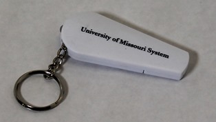 sight-n-sound-key-chain.jpg