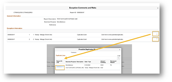 Another image of Duplicate Flag Fiscal Viewer Level