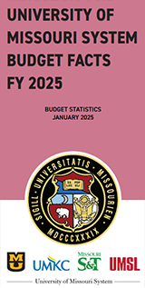 Download the 2025 Budget Facts