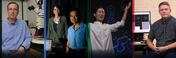 A collection of 4 individuals featured in this Highlights edition