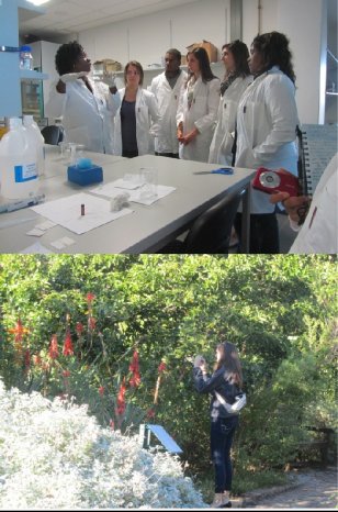 UMKC students in a lab, and also touring a nature garden