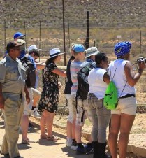 Sightseeting at the Aquila Game Reserve