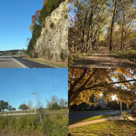 Nature photos from around the Mid-Missouri area