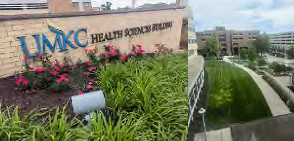 A picture of the host institution.