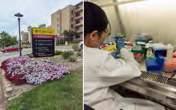 Prof. Sun in Columbia, MO.