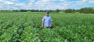 Standing in a soybean field