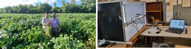 Soybean root phenotyping at Rollins bottom.