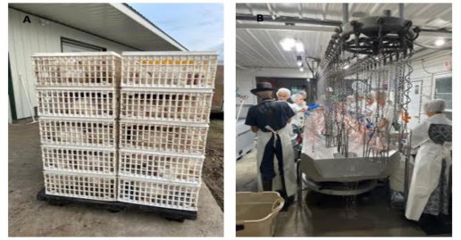 Photos of the processing facility