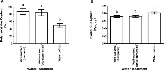Effect of water deficit on relative water content 
