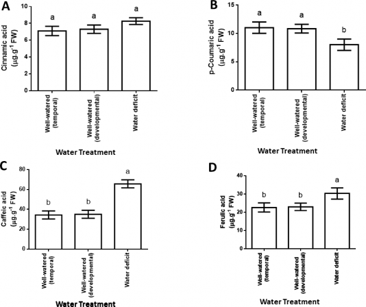 Effect of water deficit on cinnamic acid