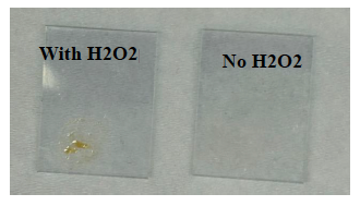 A close-up of a pair of rectangular objects  AI-generated content may be incorrect.