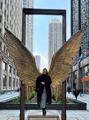 Visiting Chicago
