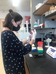 Photo of working in the lab