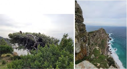 A photo from the coastline.