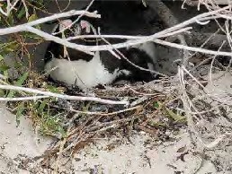 A scenic shot of the coastline