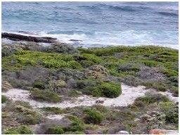 A scenic nature shot