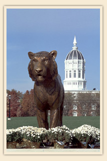 A picture of the Tiger statue in Columbia, MO