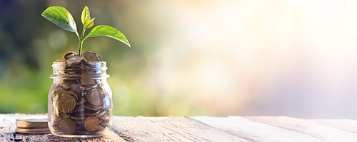 Financial Wellness banner