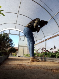 Photo at the Center for Home Gardening at the Missouri Botanical Garden