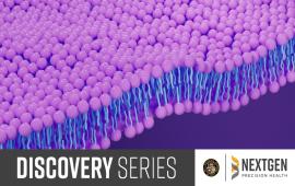 Discovery Series, October 2025 - Henry Colecraft