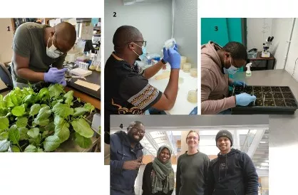 Experiences in the Gassmann lab. Details in caption.