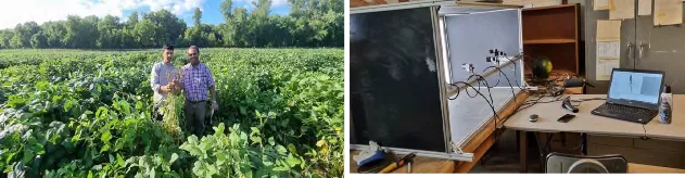 Two men stand in a field of large soybean plants; root image analysis set up
