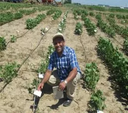 Hussein Shimelis poses with a plant sample in a field