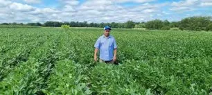 Hussein Shimelis stands in a field of thigh-high soybean plants