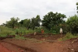 Health clinic garden surrounded by wild vegetation