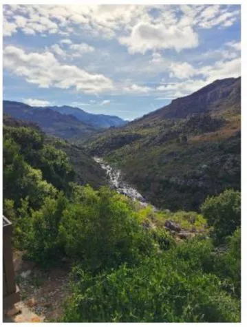 A river runs through a green valley