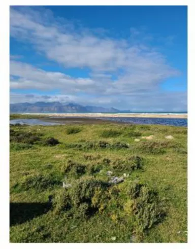 A grassy plain with water and mountains in the distance