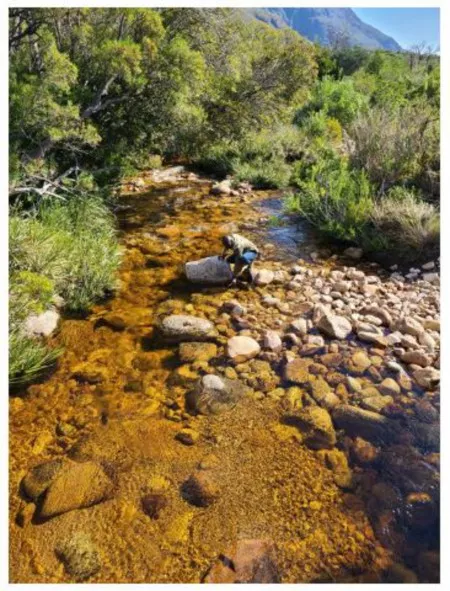 A person collects a water sample from a wide, rocky stream