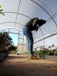 Zolenka in a greenhouse at the Center for Home Gardening in the Missouri Botanical Garden