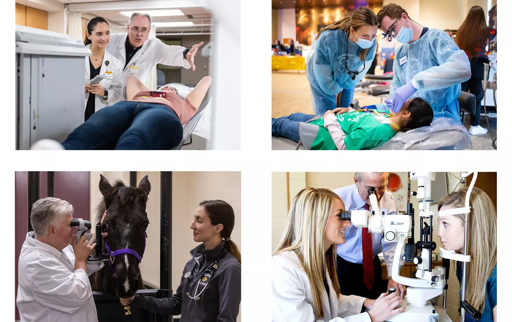 A photo collage of MU Health Care faculty, UMKC Dentistry, Mizzou Veterinary Medicine and UMSL Opthamology